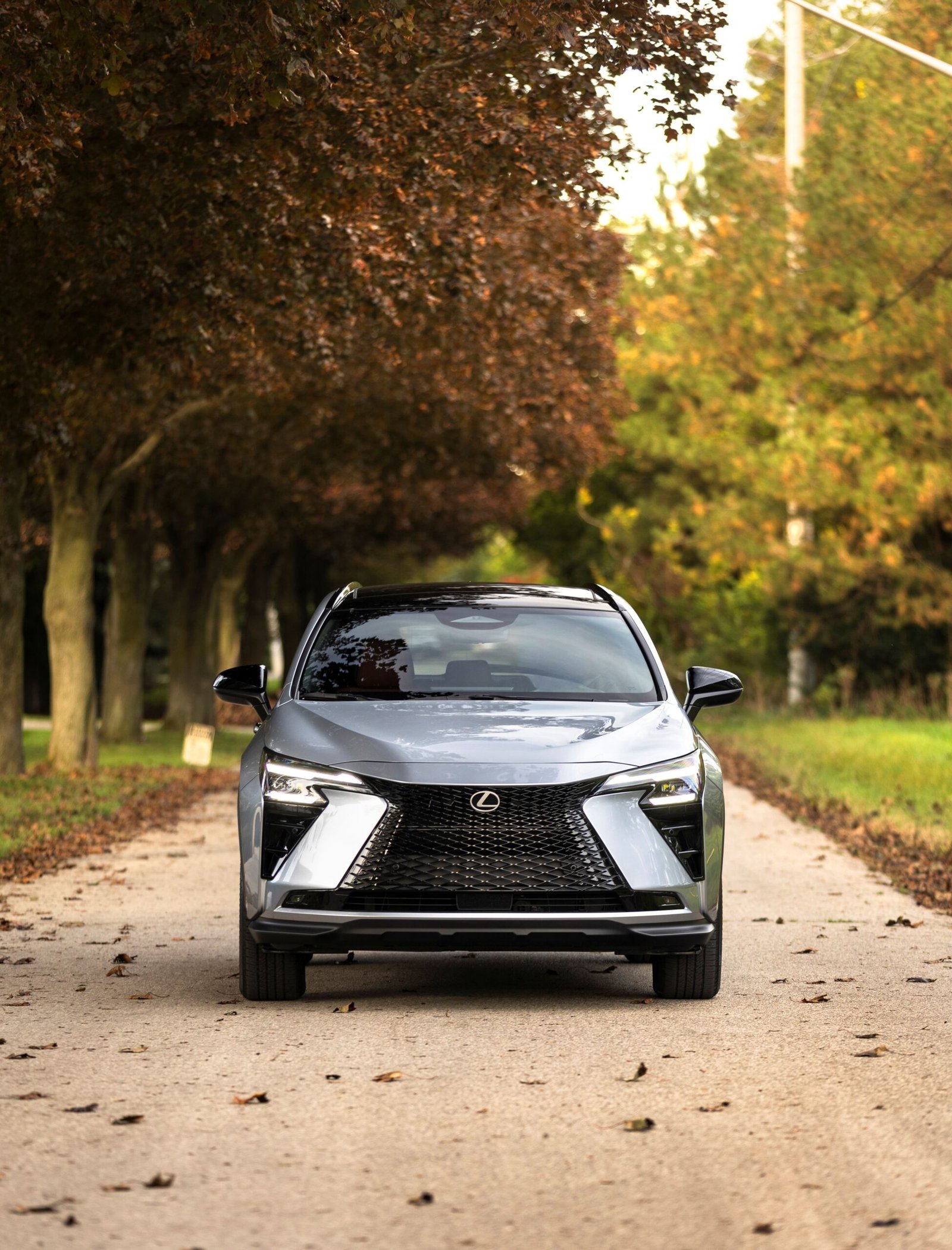 2027 Lexus NX 350h Luxury grade in Iridium, Lexus press photo